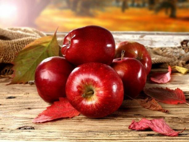 Какве су користи од јабука и да ли могу нанети штету организму