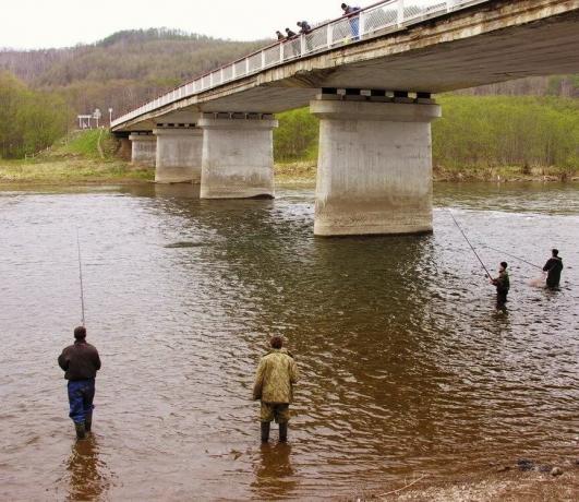 Како добра лице за риболов од мостова? | ЗикЗак