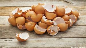 Љуска јајета: 3 корисних апликација у јесен башти