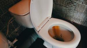 Како да брзо и једноставно очистите тоалет од рђе и жуте плака?