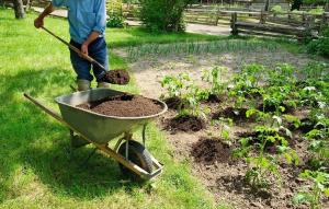 Органско ђубриво у башти: 5 најбоља без хемије