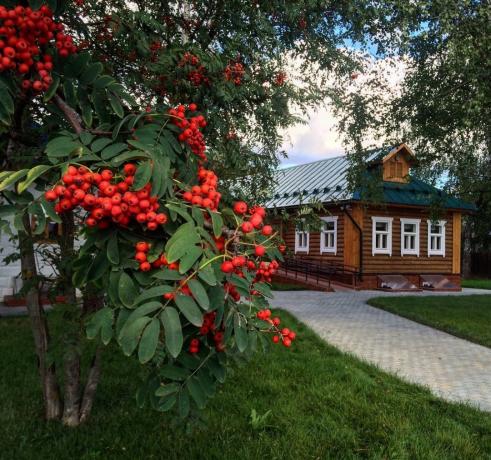 Рован - традиционални украс руских села! (Фотографија са плаицаст.ру)