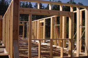 Изградња кућа за 3 недеље: леш