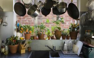 Како оригинално и практично да додате собних биљака и лековитог биља у унутрашњости ваше кухиње. 7 десигн савети