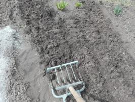 Чудо лопата. Или како лако и брзо да ископамо башту!